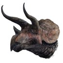 트리케라톱스-2 이미지