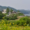 팡시온 이미지