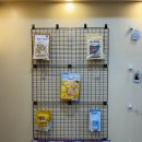 별이알이 댕댕샵 이미지