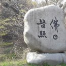 개천사 부도군 이미지