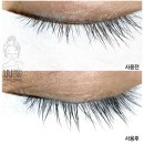 더 이쁨 속눈썹