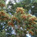 황전북초등학교 이미지