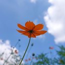 바른이김대식치과의원 네이버블로그