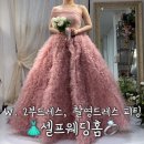 W. 드레스피팅 셀프웨딩홈💝 드레스 대여, 구매, 2부 드레스, 촬영드레스