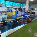 명성초장집 | 경주 감포맛집 감포횟집 부부수산 싱싱한 모둠회+해산물 세트 포장 솔직후기