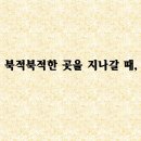 자유여행영어 이미지