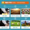 여행코스추천 베나자 해돋이 판랑사막투어 내돈내산 후기 (+ 인천공항 환전 및 깜란공항 대기장소 꿀팁)