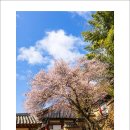 밀양향교 이미지