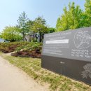 모란에봄 세계타임즈