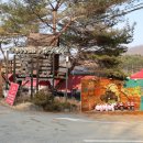 가평 카라반 씨브이리조트 가평 글램핑 추천