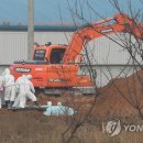 김판정농장 이미지