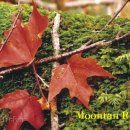 고운선율피아노 이미지