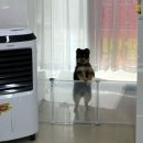 투디아 이미지