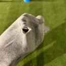 로힌(rohin) 이미지