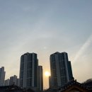 파스쿠찌김포운양DI점