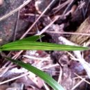 고고농장 이미지