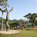 소나무카페(소나무관광농원) 네이버블로그