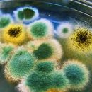 탑케어동물의료원 이미지