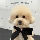 멍발소 하우스 이미지