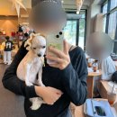 멍플 | ☕️ 멍플 시흥 24시 애견카페 방문