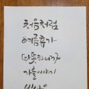 수성펜화 캘리 이미지