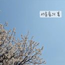 살구꽃가든 이미지
