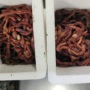 대물축산 네이버블로그