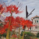 선학농장 이미지