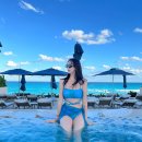 칸쿤 시크릿더바인 프리퍼드 주니어스윗 오션뷰 투숙 후기