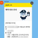 주연쭈꾸미 | 1월 첫째 주 &amp; 둘째 주 💐(센과 치히로의 행방불명 뮤지컬 내한 공연 후기랑 이것저것 일상)