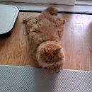 완도이비인후과의원 | 화이자백신 2차접종 완료. 코로나백신 부작용 없이 무사히 넘기길...