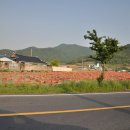 완도읍-5 이미지