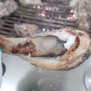 소현네굴수산 | 보령 천북굴단지, 소현네굴구이 : 무작정 들어갔는데 엄청 맛집이었음