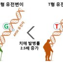 구강 세포 유전자 분석해 치매 위험도 측정..특허 등록 이미지