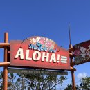 [하와이여행] 오하우 여행 필수 방문 코스! 폴리네시안 문화센터 Polynesian cultural center
