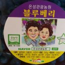 송산포도은성농원