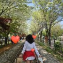 2025년 전주 이팝나무 철길 팔복동 예술공장 개방 주차 팔복예술공장