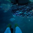 머지고래 | 인천 인스파이어 '르 스페이스' 전시 후기🛸👍