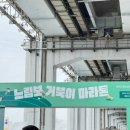 위드펫(with pet) 이미지