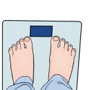 노랑카라반 이미지
