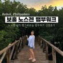 장관빌라 | 보홀 11 : 노을명소 노스젠 빌라 맹그로브숲 뱀부워크 입장료 및 후기
