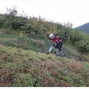 창녕농장 이미지