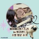 무럭무럭(주) | [리뷰] 테디베어소야~ 무럭무럭 자라야한다 (포천...추천, 내돈내산 주말 방문후기, 먹이세트, 분유체험)