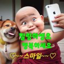 에어컨랜드