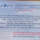진소 이미지
