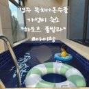 하토르 | 경주 독채+온수풀 가성비 숙소 아이랑 가기 좋은 하토르 풀빌라