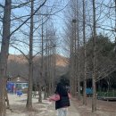 2월 일상