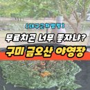 금오산 야영장 | 구미 금오산 야영장 캠핑장 사이트별 위치 명당 [단풍나무/벚나무/소나무] 미루나무12번