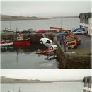 우째이런일이 이미지