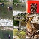 금수펜션(산장) 이미지